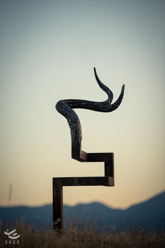 Captivity to Freedom: Abstract conceptual work. Modern outdoor decor.